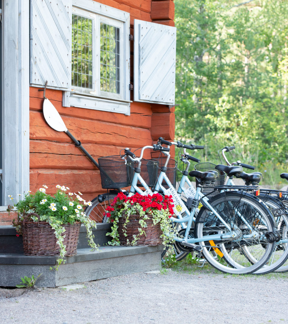 Foto: Linnea Gustavsson.